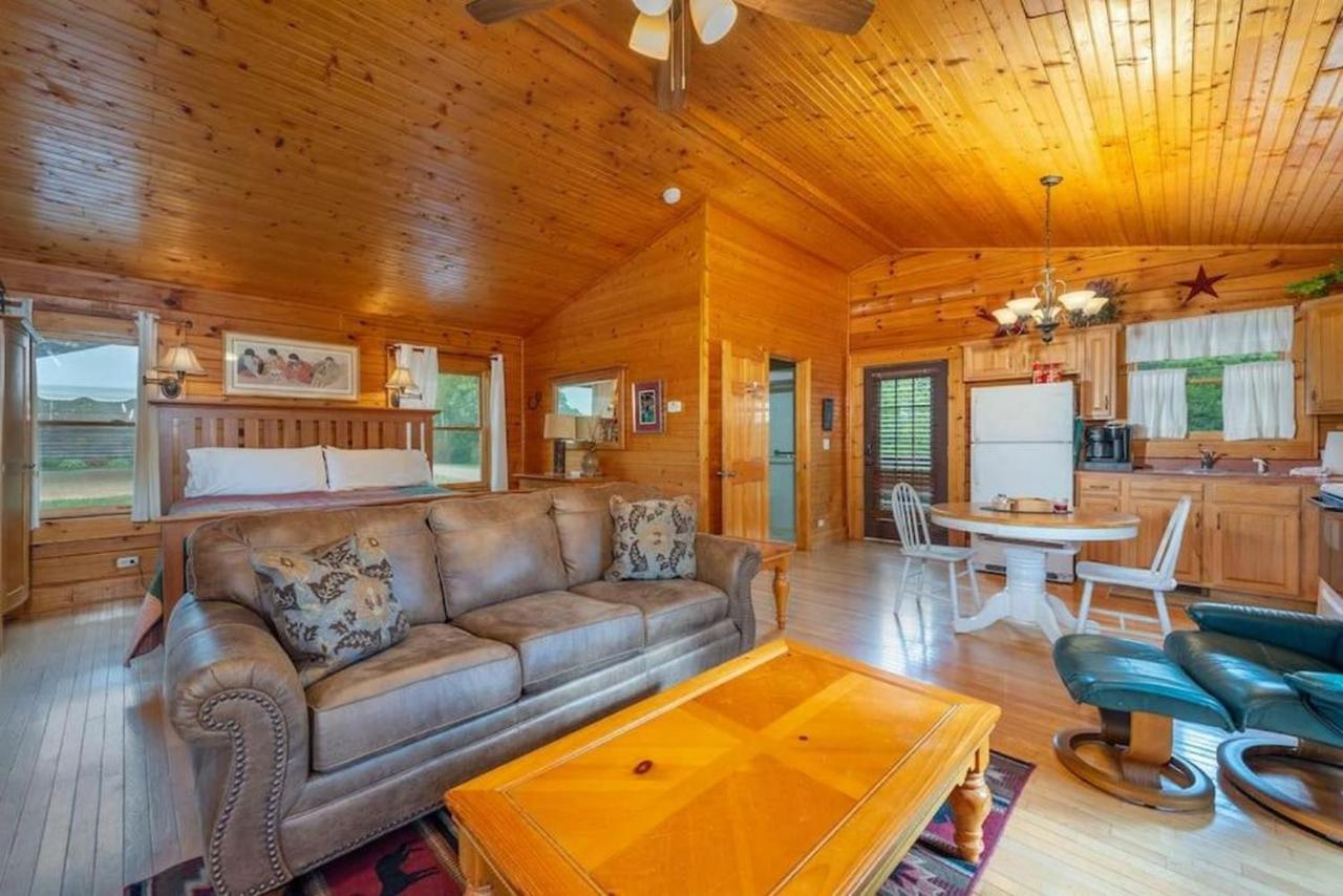 Log Cabin Stunning Mountain Views On 12 Acres Candler Buitenkant foto