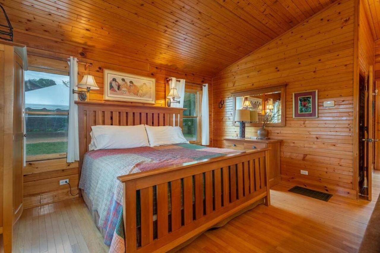 Log Cabin Stunning Mountain Views On 12 Acres Candler Buitenkant foto