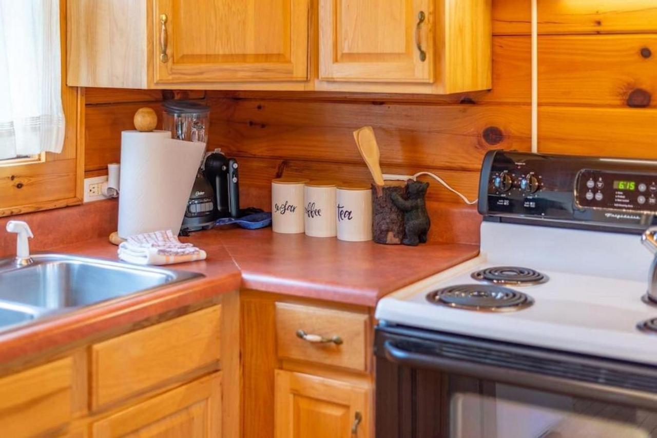 Log Cabin Stunning Mountain Views On 12 Acres Candler Buitenkant foto